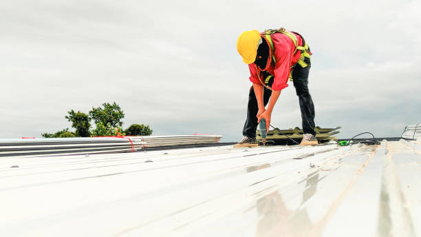 Best Roof Insulation Installation  in Simi Valley, CA