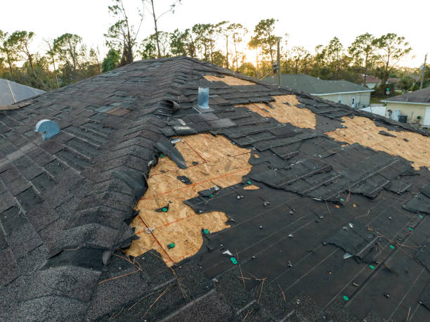 Best Rubber Roofing (EPDM, TPO)  in Simi Valley, CA